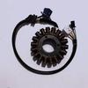 Compatible Stator Rotor Magnetic Coil for GW250-S-F Lichi GSX250R DL250 Motorcycle