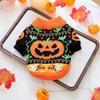 PETCIRCLE Holiday Christmas Knitted Sweater Collection for Pets - Autumn/Winter 