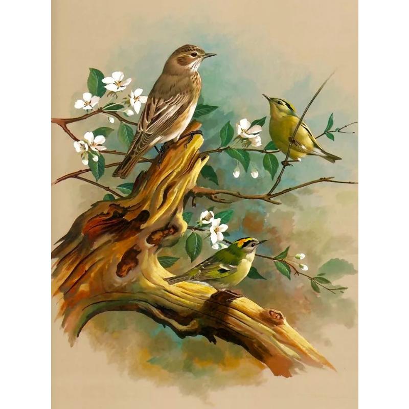 Canvas paintings, animals, birds, home decor, gift craftsmanship, living room, bedroom, wall decoration