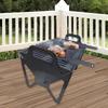 Foldable Grill Barbecue Lightweight Sturdy Grilling Rack for Home Lakeside Picnics