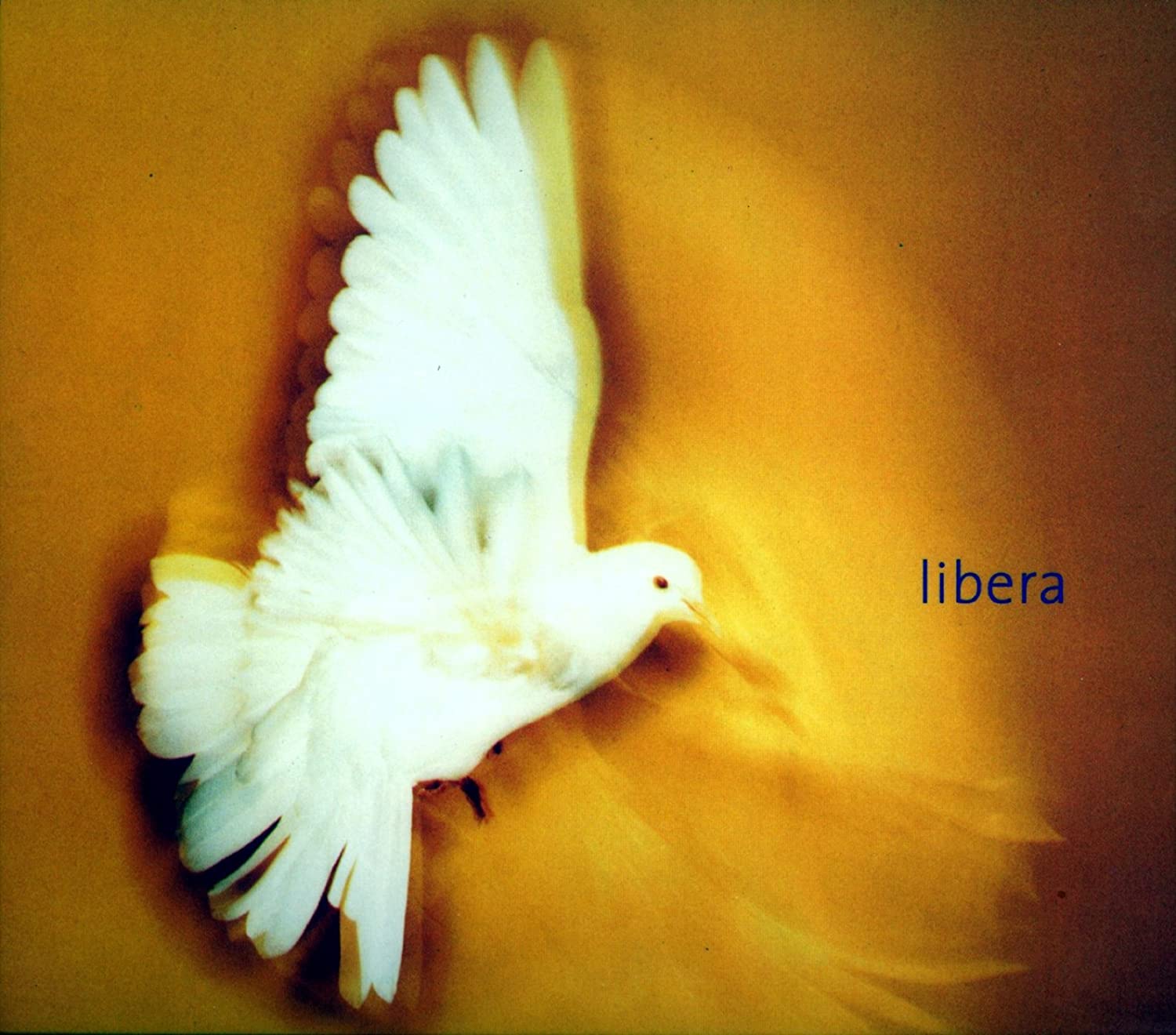 

CD ROBERT PRIZEMAN; LIBERA - Libera 3984290532 Erato 1999 UK Dance & Electronica Used