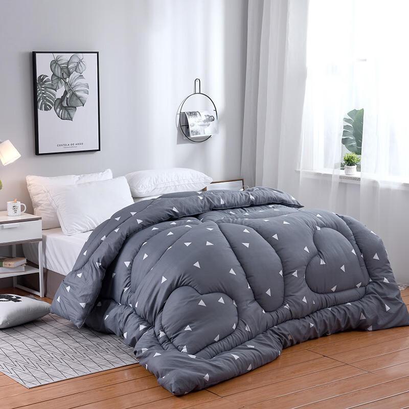 Thickened Warm Brushed Cotton Winter Quilt 180x220cm 6 Jin