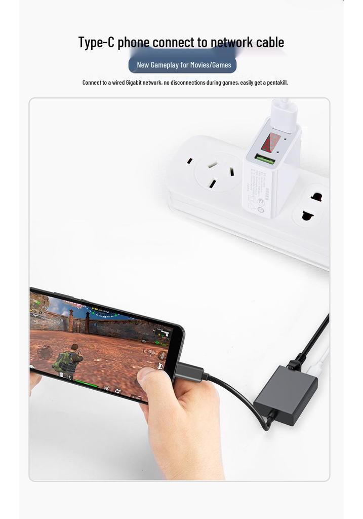 Type-C 2-in-1 Docking Station with PD100W, Gigabit Ethernet, and 100Mbps Ethernet Port