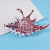High Quality Wave Crab Claw Clips Conch Ocean Design Shark Hair Clips Geometry High Ponytail Barrette Hairpin Hair Accessory