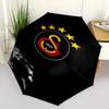Galatasaray S .K Print Automatic Umbrella, 8 Rib Iron Frame, Plastic Handle, Suitable for Outdoor Travel &Daily , Ideal Gift