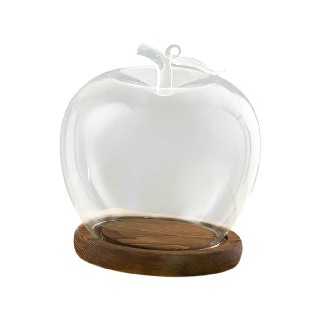 Glass Display Dome Clock with Wooden Base Plant Glass Container Jar Everlasting Lid Christmas Decoration Stand for Crafts Roses