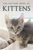Knyga The Picture Book of Kittens : A Gift Book for Alzheimer's Patients or Seniors with Dementia : 21