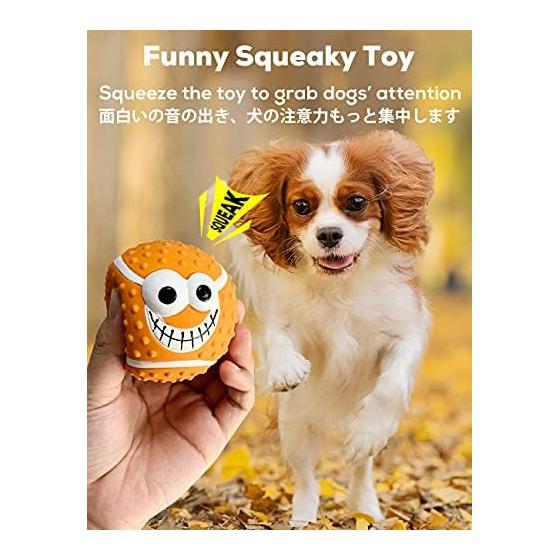 SCHITEC Dog Ball Toy with Sound Chewing [Set of 4, Baseball, Soccer, Volleyball, Rugby] Dog Toy, Tooth Brushing, Sound Dental Toy, Strong and
