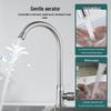 BSITN Stainless Steel Single Cold Kitchen Faucet
