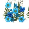 Echte Gedroogde Bloemen Florale Decoratie Blauwe Creatieve Droge Bladeren voor