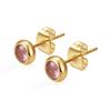 Classic Stainless Steel Ear Needle Zircon Round Stud Earrings For Women Birthstone Gold Color Small Huggie Daily Female Jewelry
