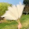 24PCS Brown Faux Pampas Grass White, 56cm Short Artificial Pompous Grass Floral Fake Pompas Grass Branches Vase Filler