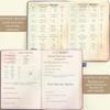 Undated Budget Book: Expense Tracker, Bill Manager & Financial Planner