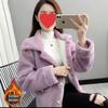 Women's Faux Lamb Wool Plush Coat - Korean-Style Loose Short Jacket for Autumn/Winter