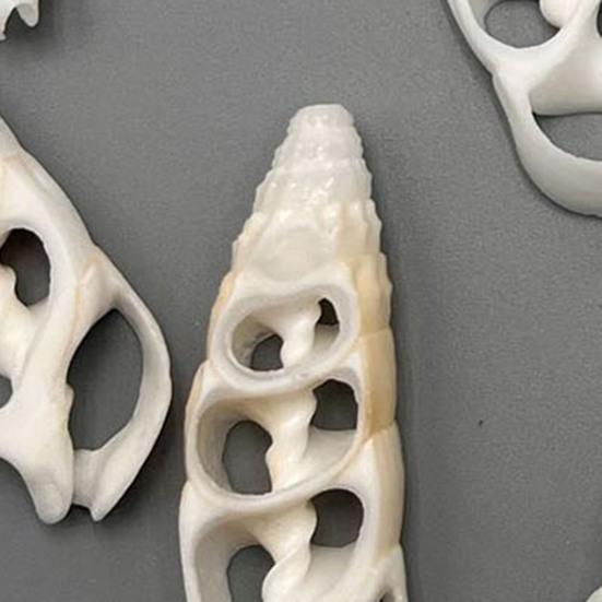 Middenuitgesneden Schelpen Natuurlijke Middenuitgesneden Zee Schelpen Vooraf Gesneden Conch Slices voor DIY Ambachten Windgongen Kust Woondecoratie Nautische Sieraden