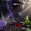 Aquarium Spawning Tunnel Xmas Hideout, Shrimp Cave Shelter, Christmas Stocking Betta Fish Tank Landscaping Hideout Hide, Halloween Bat for Tanks