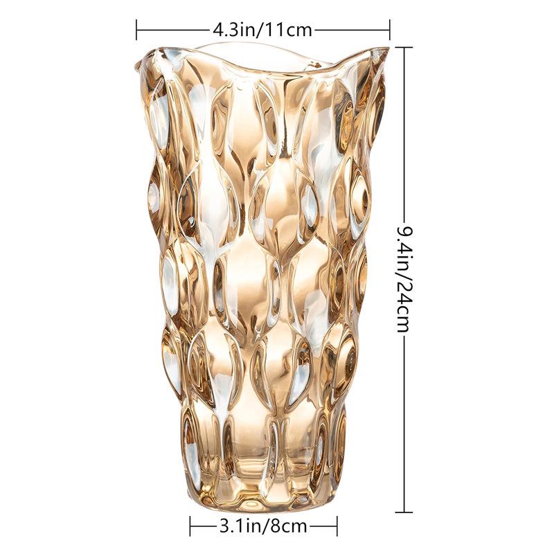 Bohemian Modern Clear Glass Vase for Home Decoration and Hydroponic Flower Arrangements in Living Room