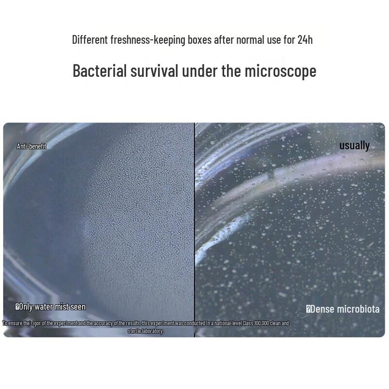 CHAHUA 2600ml Leak-Proof Food Storage Container