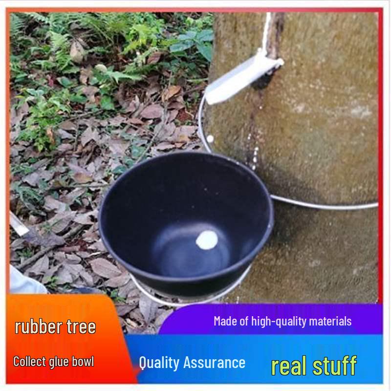 Rubber Tree Sap Collection Set: Drop-Resistant Tapping Bowl with Holder and Glue Tongue