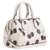 Coach Rowan Refined Cow Leather One Shoulder Handbag Mini Women's Silver & Chalk CCZ20-SVCAH