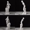 Resin Venus Statue Goddess Norse Home Studio Decor