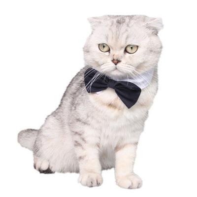 Moda Köpek Yavru Kedi Papyon Ayarlanabilir Boyun Bandı Yaka Boyun Askısı Evcil Hayvan Malzemeleri