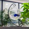2016 Micro Landscape Hanging Glass Vase: Transparent Iron Frame for Ecological Weddings