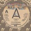 7inch Record DONNA SUMMER  Dim All The Lights CAN162PROMO Casablanca 1978 UK SoulFunk Used