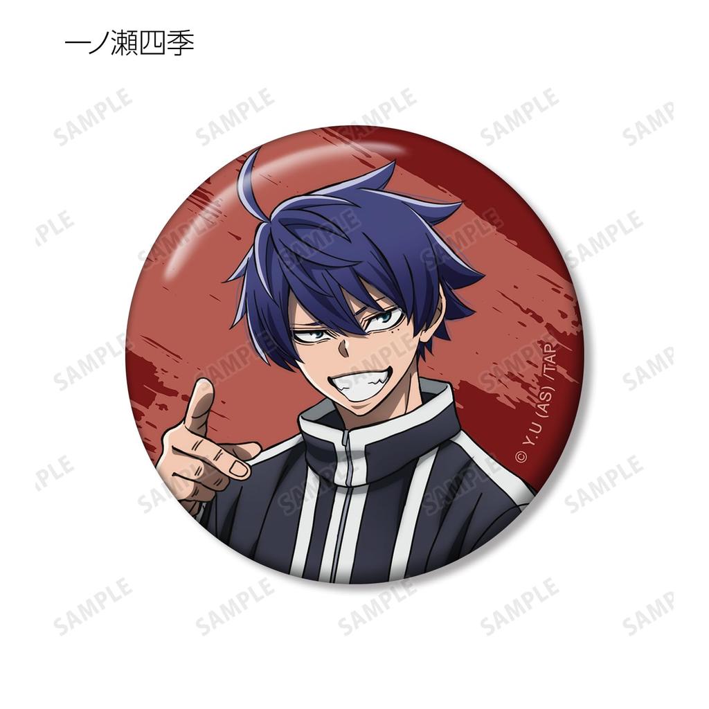 Togen Anki Trading Badges Schachtel mit 11