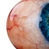 Eyeball Statue Realistic Horror Eye Figure Gothic Style Paperweights for Desk for Table Bookshelf Bedside Dorm Apartment Bar