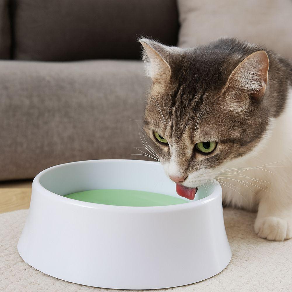 Spill Proof Pet Water Dispenser Large Capacity Dog Drinking Bowl Cat Water Fountain for Home
