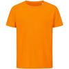 Stedman Childrens/Kids Sports T-Shirt
