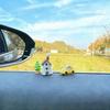 Car Interior Decorations, Dashboard Decorations, Rearview Mirrors, Woodland Cabins &