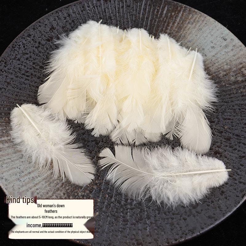 Mixed Color Chicken & Peacock Feathers for DIY Ornaments, Handicrafts, and Handmade Clothing Accessories.