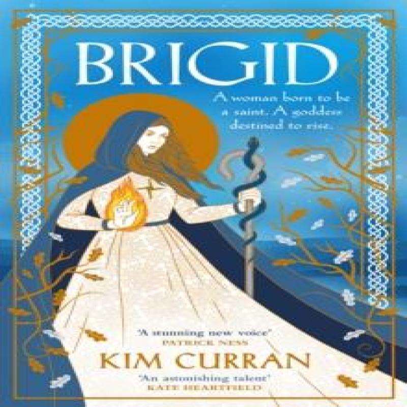 Brigid by Kim Curran Hardback Book 9780241713051