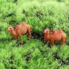 Craft DIY Accessories Camel Glass Decor Model Home Decoration Fairy Garden Miniature Figurines