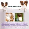 Cat Skin Care Spray 100ml Natural Formula for Itchy Skin Relief Treats Fungal Bacterial Infections