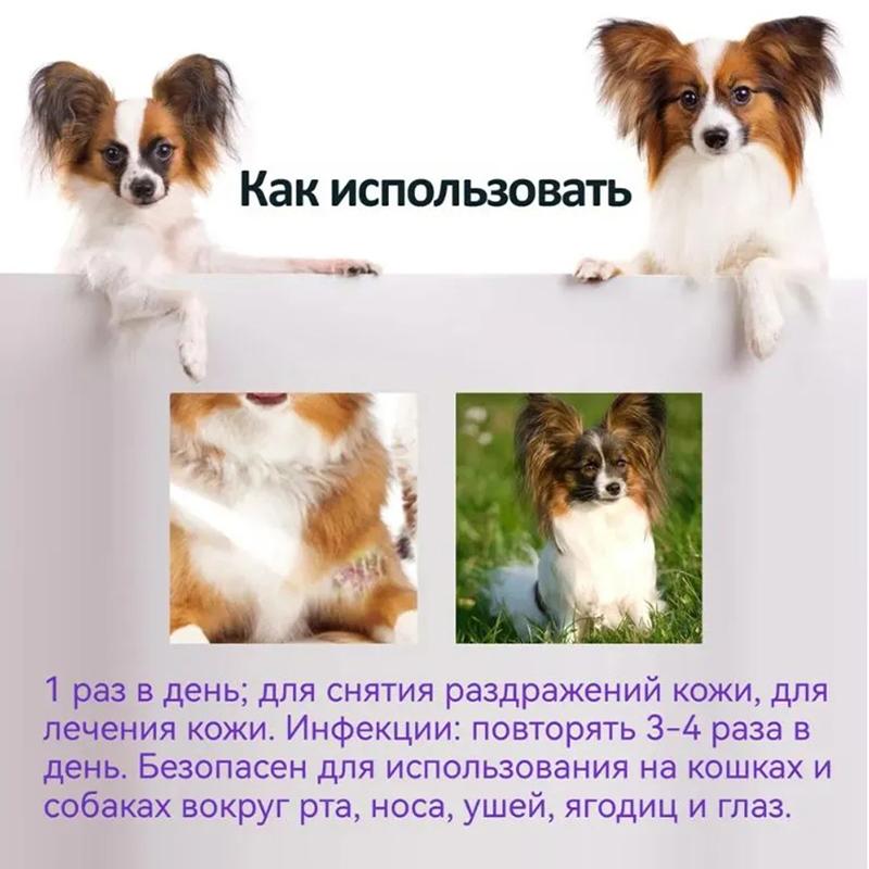 Cat Skin Care Spray 100ml Natural Formula for Itchy Skin Relief Treats Fungal Bacterial Infections
