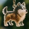 Transparent Cat Dog Hair Storage Box Pendant Keychain Collect Pets Hair Commemorate Bag Pendant Save Cat Hair Storage Capsule