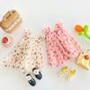 Heart Print Mesh Princess Dress - 2025 Kids' Summer Tutu