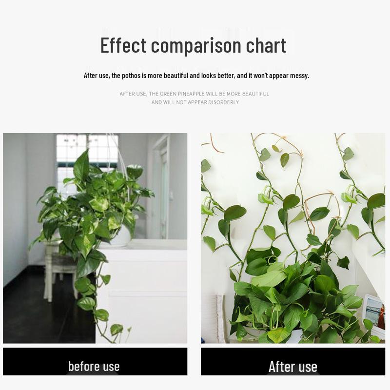 Pothos Wall Climbing Clips: Traceless Adhesive Hook Fixators for Green Plant Support