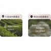 Sijie Silk Pajamas for Women, 100% Mulberry Silk, Simple Solid Color, Couple's Casual Loungewear, Silk Set, Holiday Gift