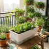 Self Watering Seedling Tray Plastic Growing Box Practical Plant Nursery Pot  Vegetable Gardening