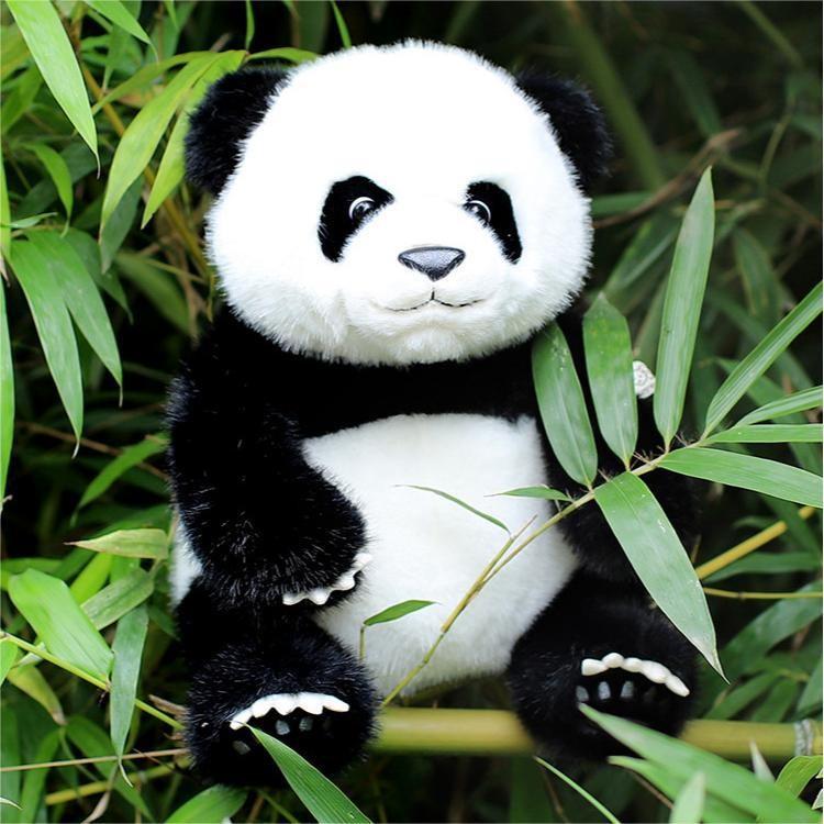 

Panda 35cm Lovable Plush Toy Soft And Cuddly Black And White Animal Stuffed