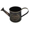 Vintage Metal Flower Watering Can with Handle Metal Rustic Watering Can for Indoor Plants Succulents Balcony and Outdoor