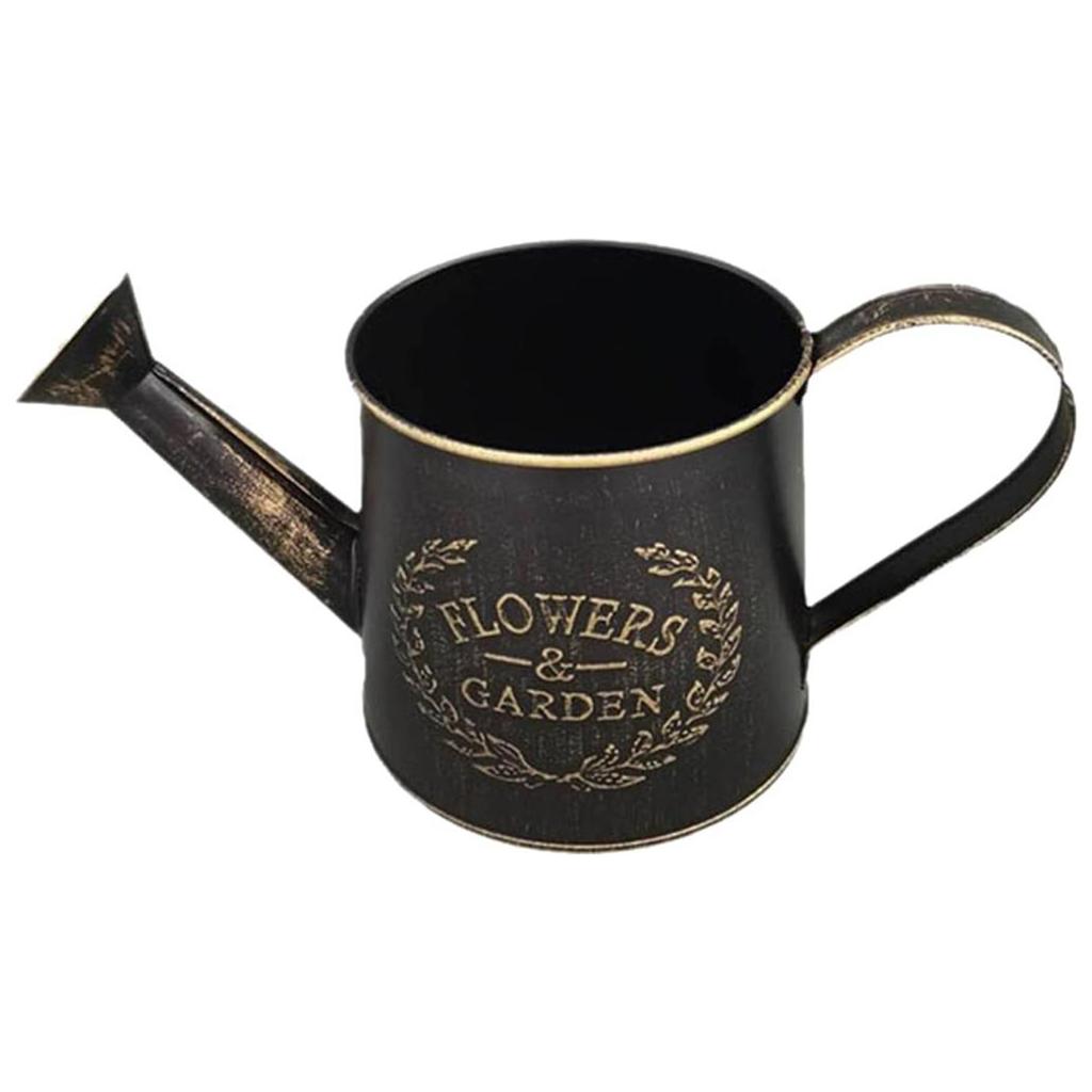 Vintage Metal Flower Watering Can with Handle Metal Rustic Watering Can for Indoor Plants Succulents Balcony and Outdoor