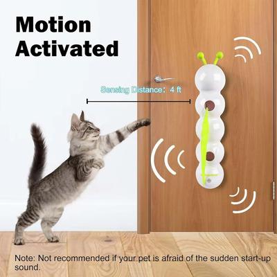 Katzen – Katzenspielzeug
