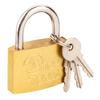 50mm Padlock, 2 Keys