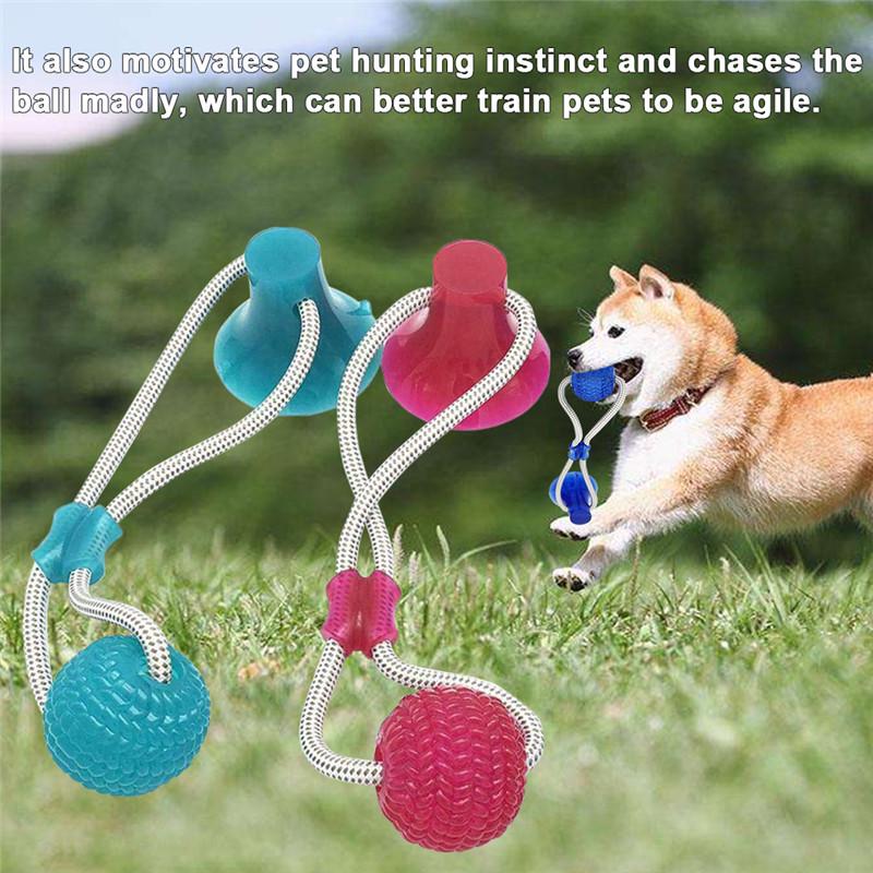 Multifunction Pet Molar Bite Toy Self-Playing Rubber Ball Toy with Suction Cup