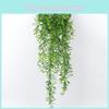 Comosum Indoor Chlorophytum Wall Hanging Plant For Living Room Bedroom And